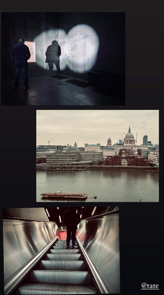 georgiatinstastories (@georgiatinstas1) on Twitter photo 