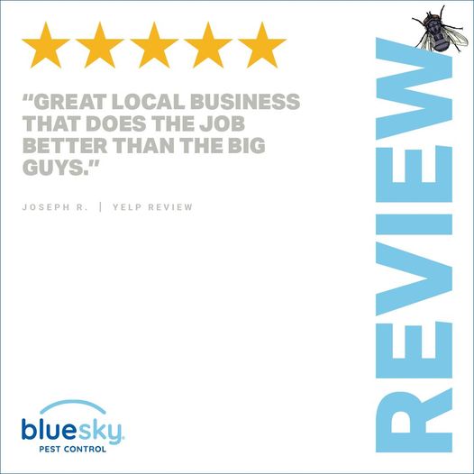 Blue Sky Pest Control tweet media