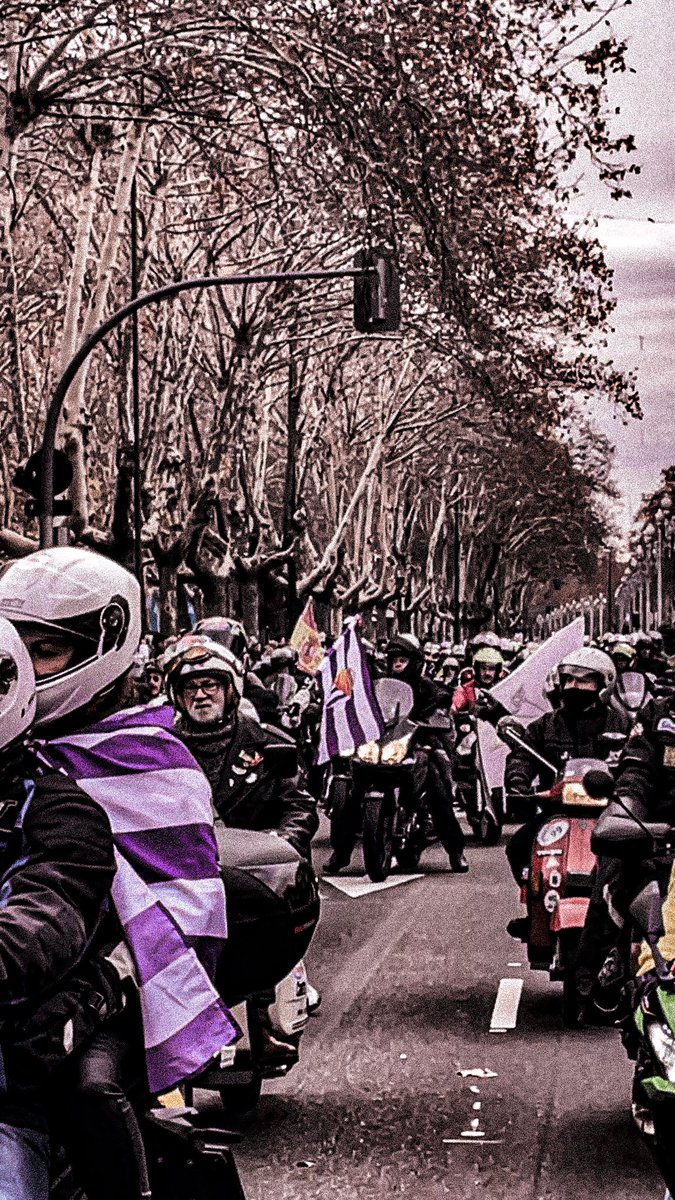 realvalladolid's tweet photo. Los wallpapers de esta semana van con mucho ruido 🐧🛵
¿Cuál te vas a poner? 👇 https://t.co/xUitAkw58N
