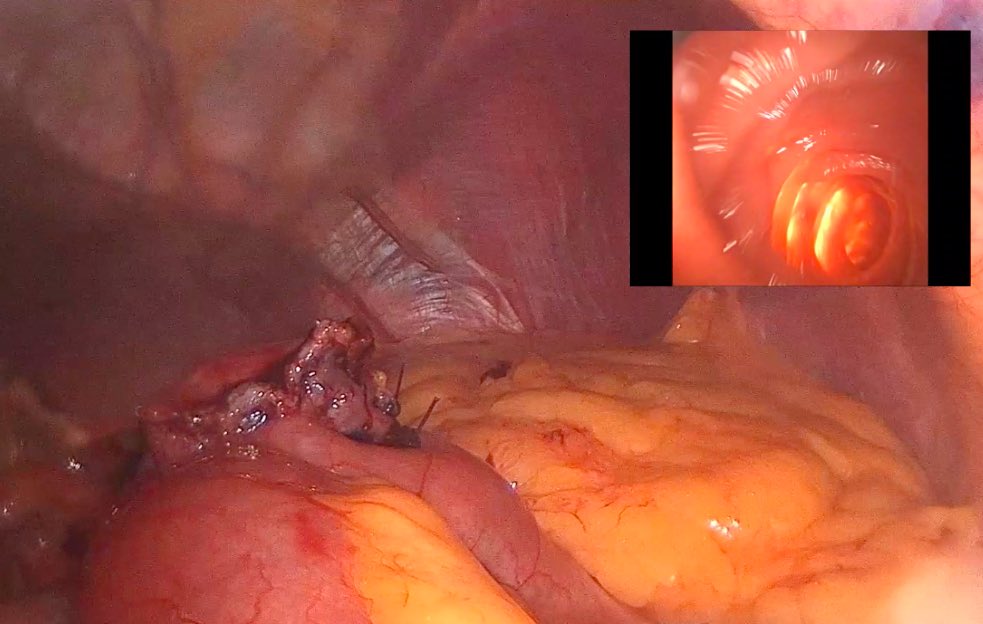 Norberto Cassinello tweet media