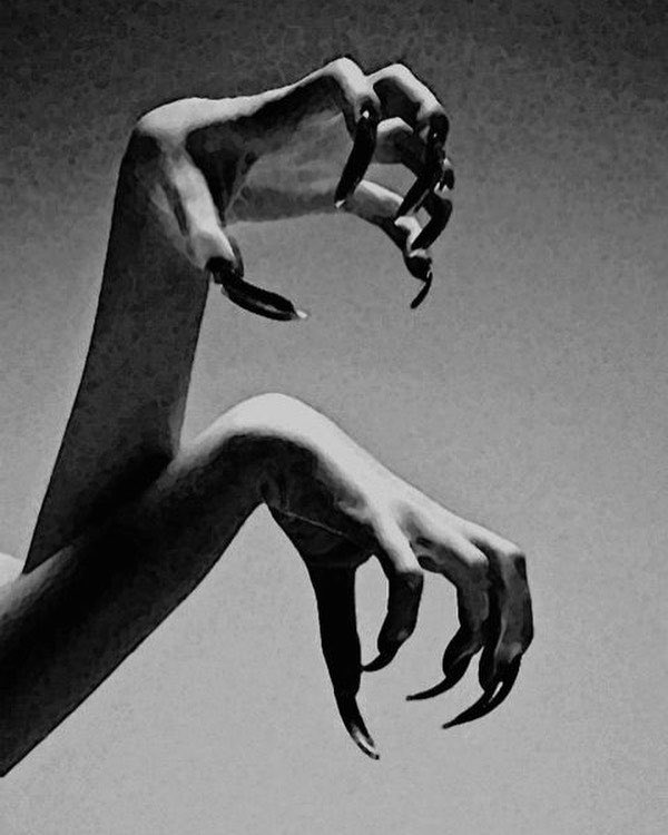 Kʏᴜᴋᴇᴛsᴜᴋɪ tweet media