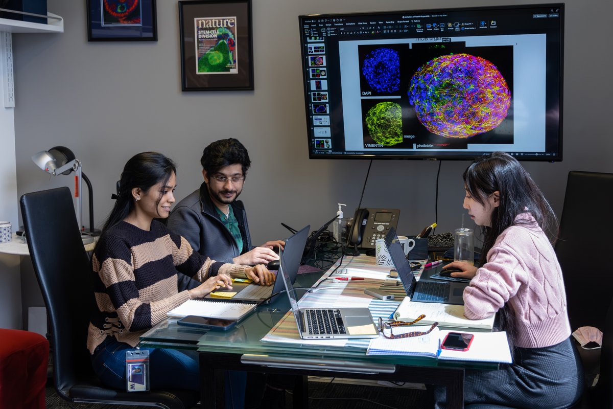 UWISCRM's tweet photo. Apply by January 19th for the summer 2024 ISCRM Research Experience for Undergraduates. #REU 

Join a community of scientists at the forefront of regenerative medicine, biology, and engineering.  

Housing and stipend included!   

https://t.co/sYxF2oSxG8 https://t.co/9wUIIpvfg3