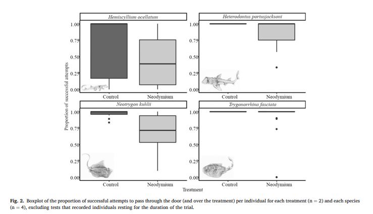 OceaniaSharks (@oceaniasharks) on Twitter photo 🚨 𝗡𝗲𝘄 𝗣𝗮𝗽𝗲𝗿 🚨
New #sharkscience published in Fisheries Research led by <a href="/MollyGrew_/">Molly Grew</a>
Researchers assessed the efficacy of a rare-earth magnet (neodymium) to deter four benthic #elasmobranchs under laboratory conditions 🧲🦈
Full paper here ➡️ doi.org/10.1016/j.fish… 🚨 𝗡𝗲𝘄 𝗣𝗮𝗽𝗲𝗿 🚨
New #sharkscience published in Fisheries Research led by <a href="/MollyGrew_/">Molly Grew</a>
Researchers assessed the efficacy of a rare-earth magnet (neodymium) to deter four benthic #elasmobranchs under laboratory conditions 🧲🦈
Full paper here ➡️ doi.org/10.1016/j.fish…