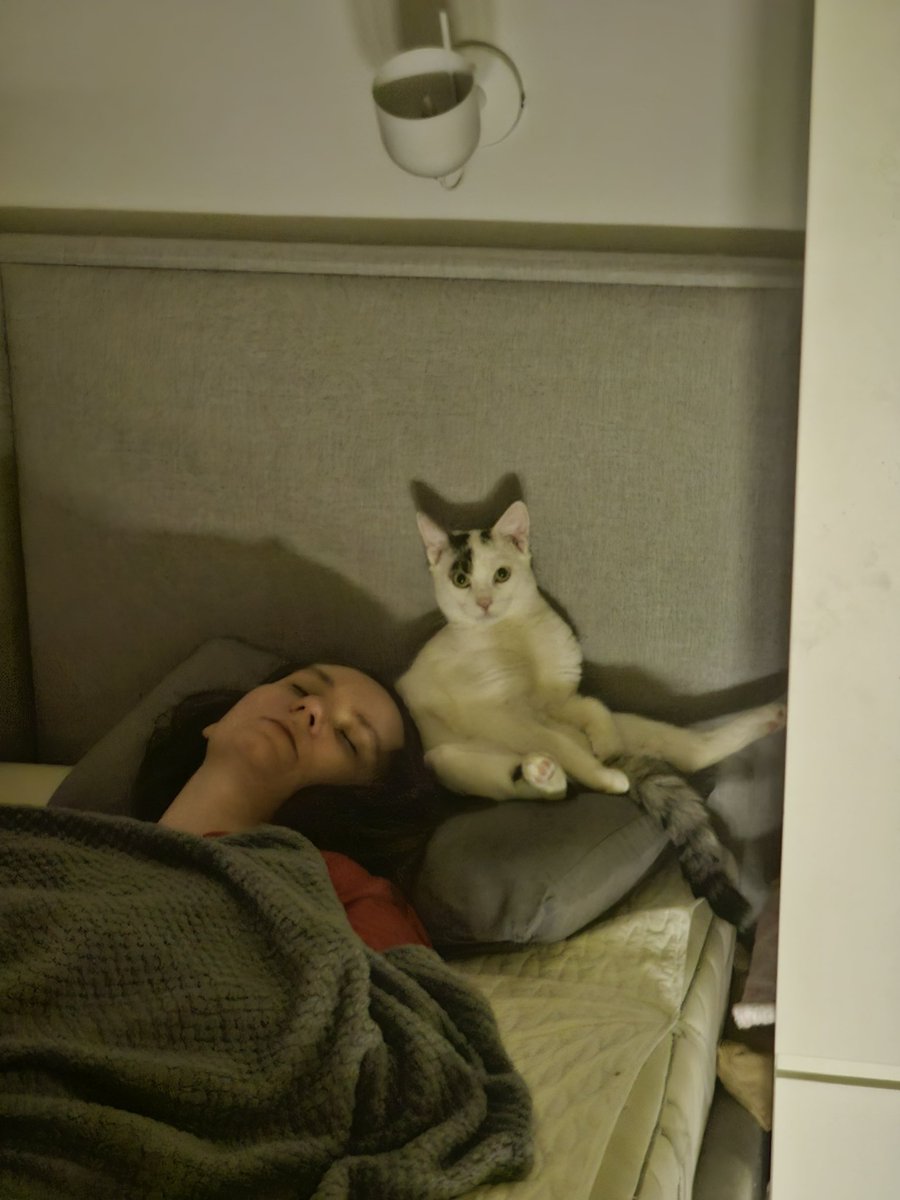 Co tu się zadziało... <a href="/KatarzynaPura/">Katarzyna Pura</a> śpi, idę się położyć a Yoda vel. Cipon na straży dobrego snu 🤣 co ten koteł🫣