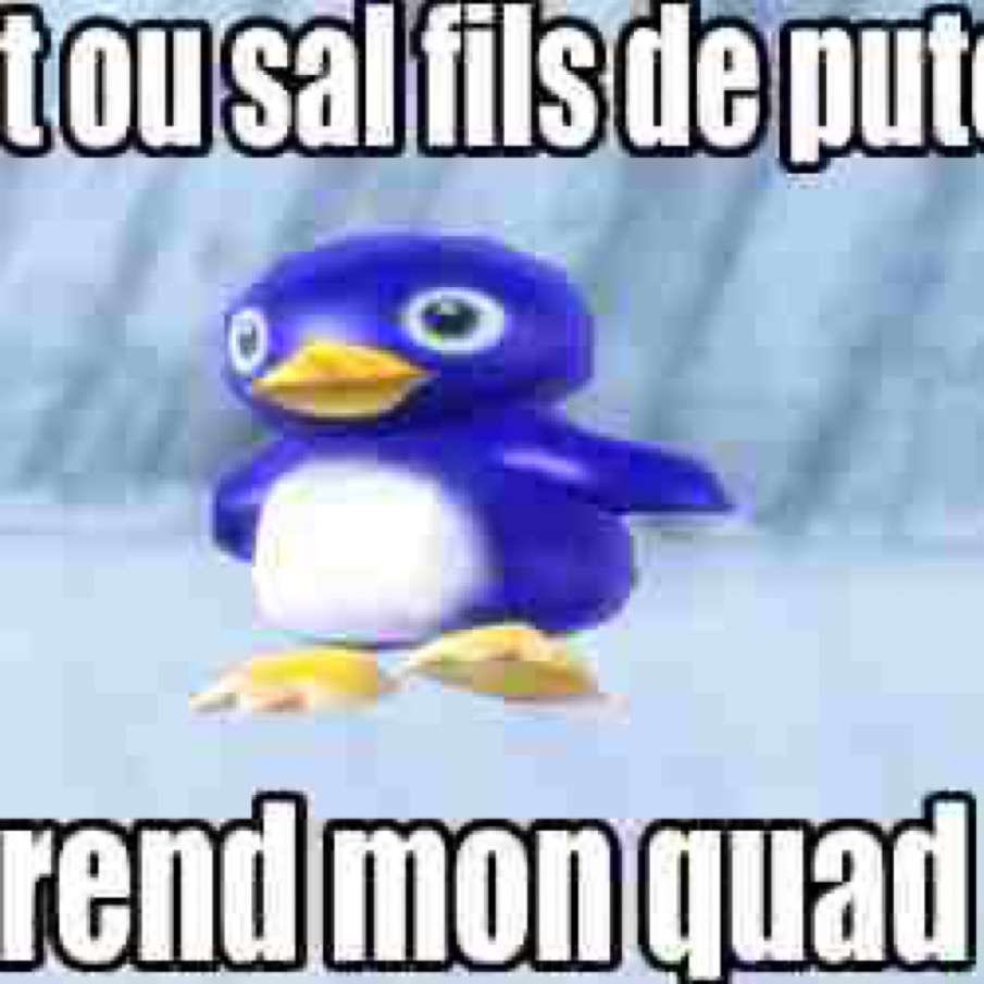 sky tweet media