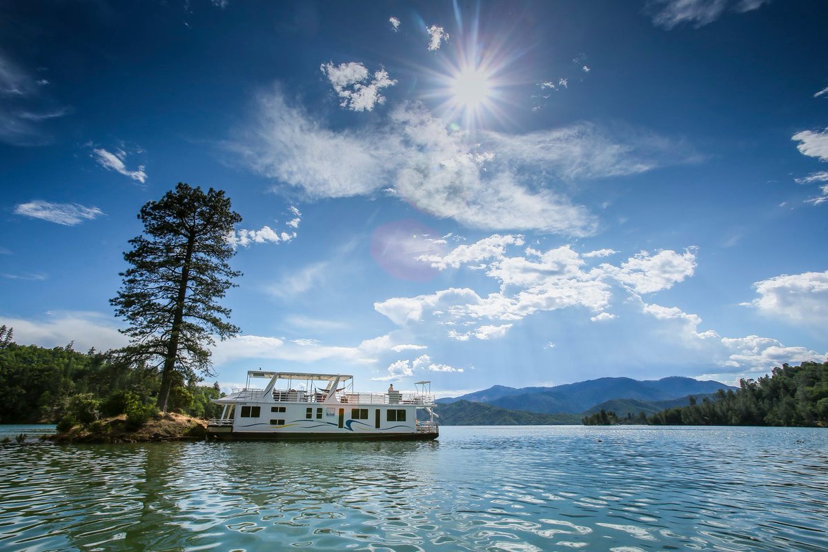 Shasta Marina Resort at Packers Bay tweet media