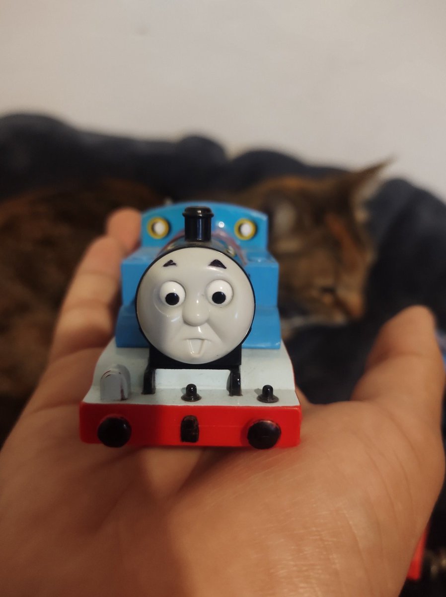 🙀