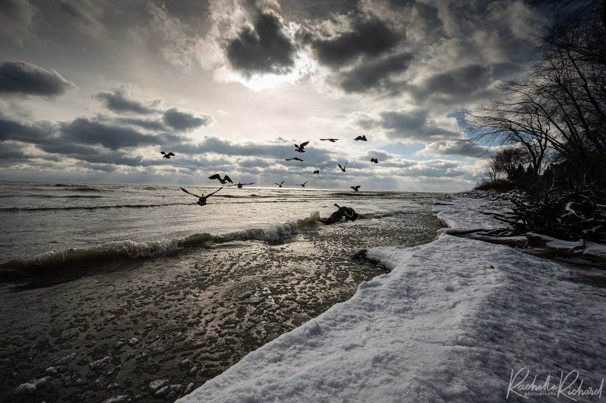 rachrichphoto's tweet photo. Beauty day to venture down to Lake Ontario
#shareyourweather #coldandwindy #lyndeshores #thephotohour #canadalandscapes @KMacTWN 
https://t.co/dWenybrOFN https://t.co/6KtPbLo2hL