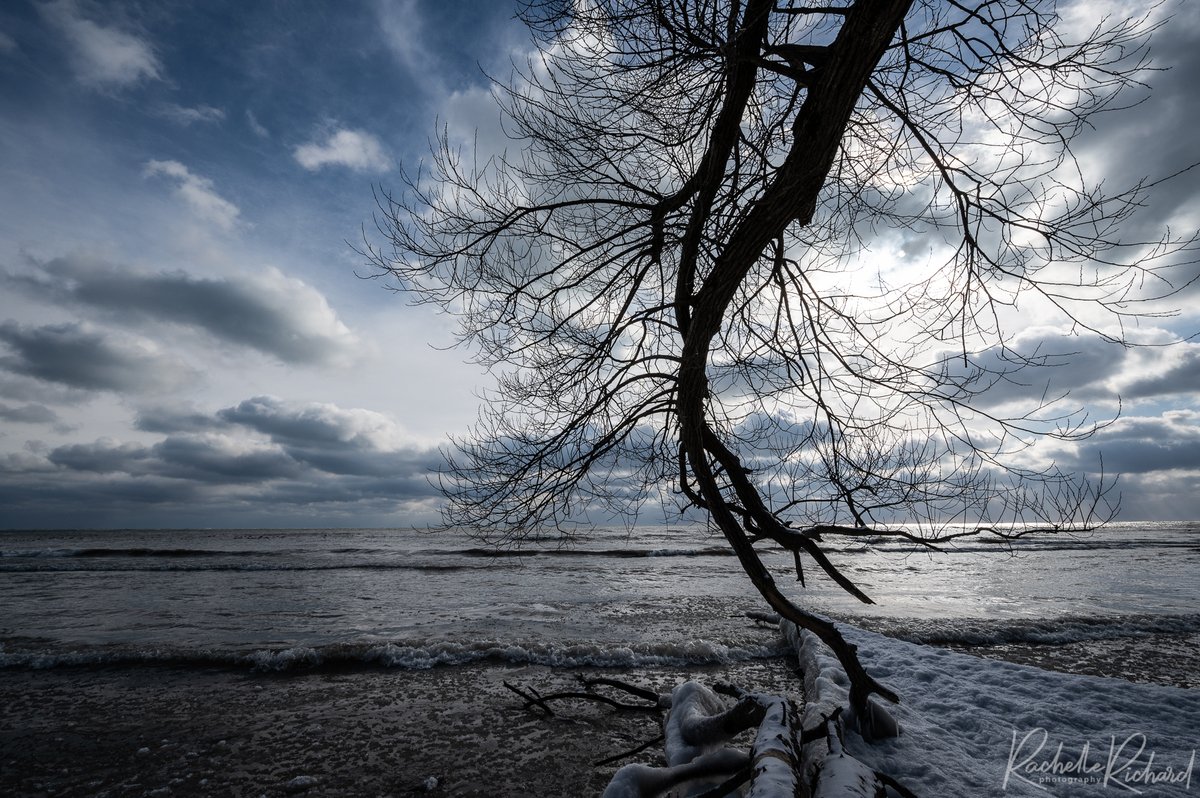 rachrichphoto's tweet photo. Beauty day to venture down to Lake Ontario
#shareyourweather #coldandwindy #lyndeshores #thephotohour #canadalandscapes @KMacTWN 
https://t.co/dWenybrOFN https://t.co/6KtPbLo2hL
