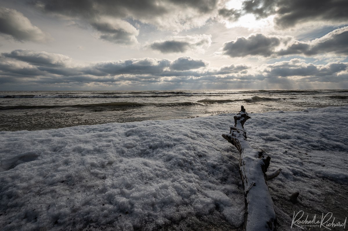 rachrichphoto's tweet photo. Beauty day to venture down to Lake Ontario
#shareyourweather #coldandwindy #lyndeshores #thephotohour #canadalandscapes @KMacTWN 
https://t.co/dWenybrOFN https://t.co/6KtPbLo2hL