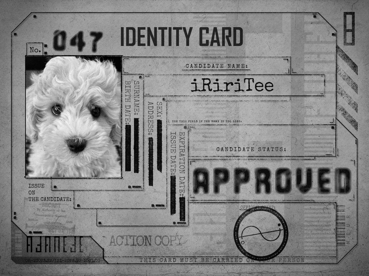 A.C.I.A. tweet media