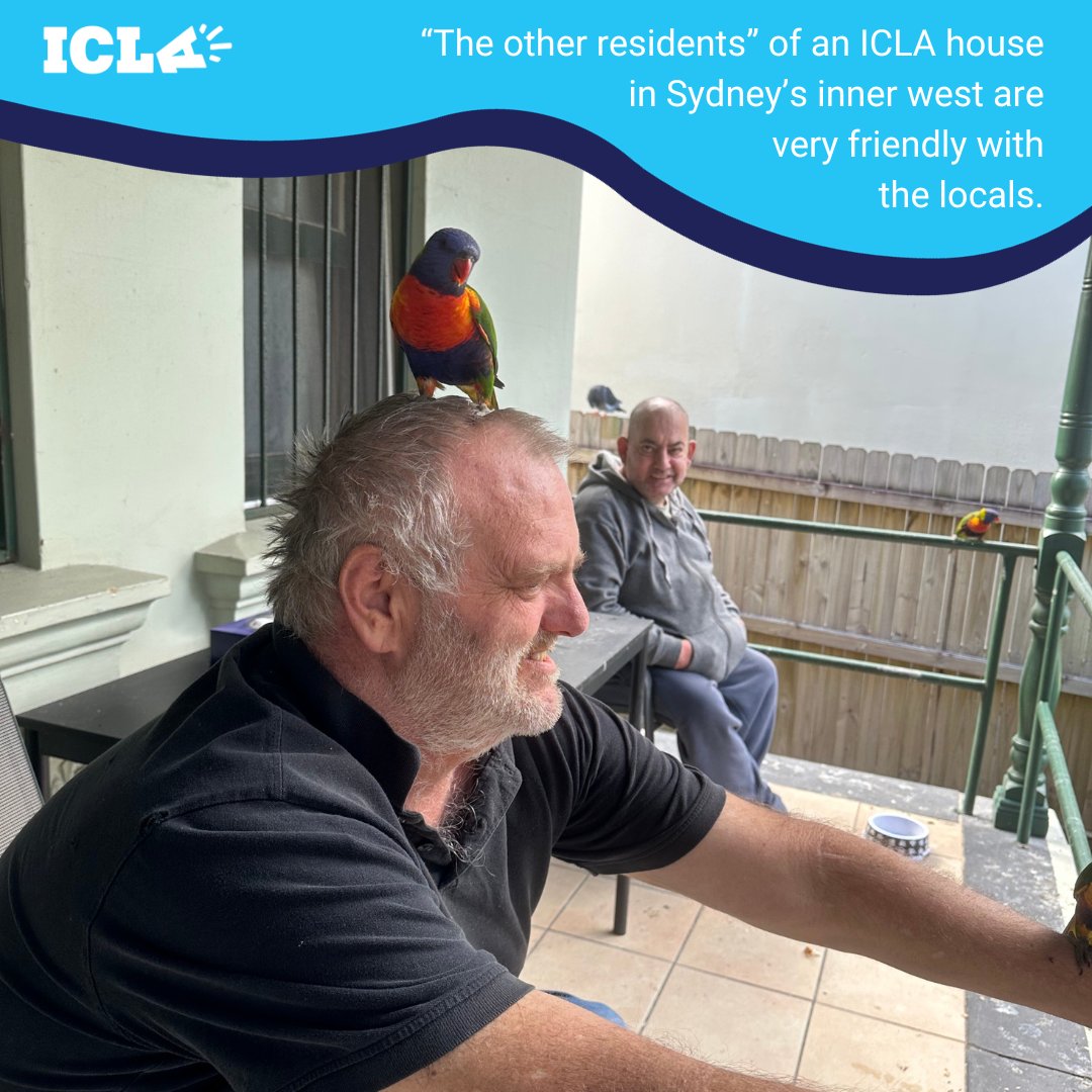 LivingAus's tweet photo. At one of ICLA’s SIL (supported independent living) houses in Sydney’s inner west, the residents saved money to purchase a birdbath for “the other residents”. Here, Michael and Peter enjoy a visit from the local lorikeets.
#collaboration #teamwork #birdwatching #naturelovers https://t.co/EHVMthj4hA