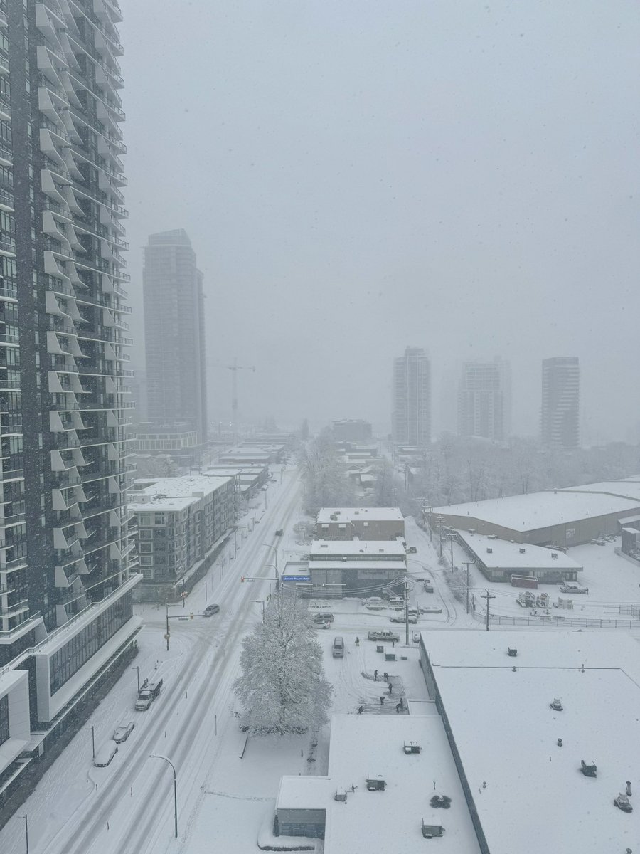 Dave Smith tweet media