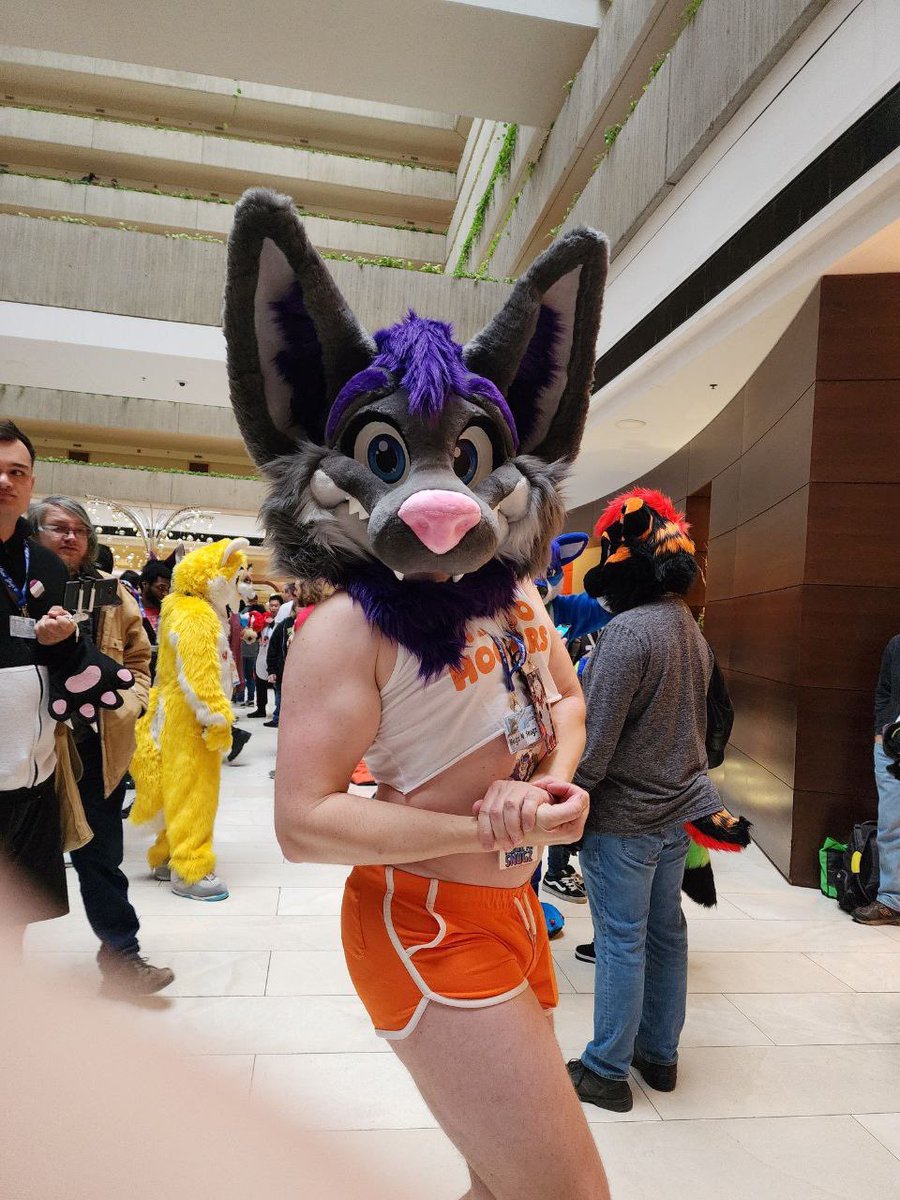 Obligatory “How to find me at ANE” post! Come and get your hugs
