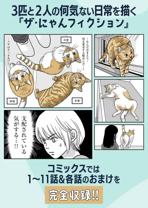 『ザ・にゃんフィクション』が各電書店で発売されました。 あれこれ一気にまとめた内容になってます。  …あれ?この写真あそこで見たな…と気付いた方、そういうことです。胸にしまっておきましょう。  猫飼い勢の皆様にお楽しみいただければ幸いです。