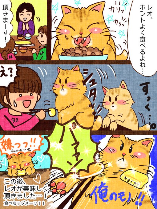 実録「保護猫のレオ君」3話目!
スリの銀次ならぬ
スリのレオ氏😓

それ以来、卵焼きが大好物です💦
#実録#実録マンガ
#コミックエッセイ#ねこ#マンガが読めるハッシュタグ 