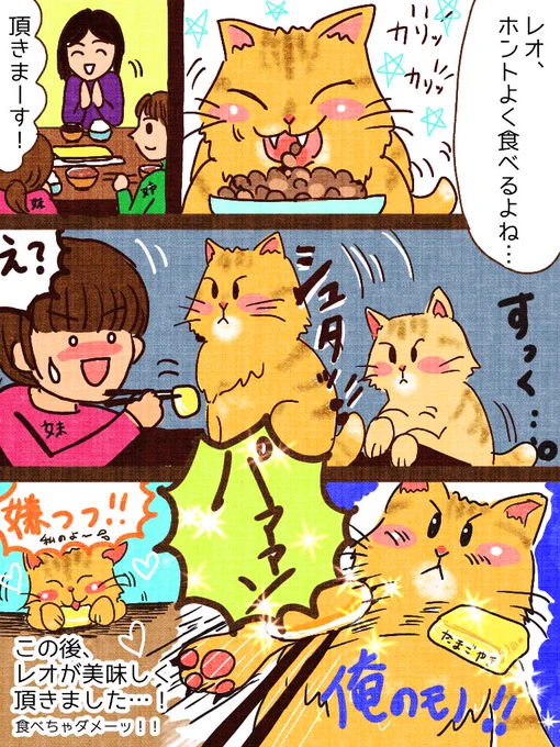 実録「保護猫のレオ君」3話目!
スリの銀次ならぬ
スリのレオ氏😓

それ以来、卵焼きが大好物です💦
#実録#実録マンガ
#コミックエッセイ#ねこ#マンガが読めるハッシュタグ 