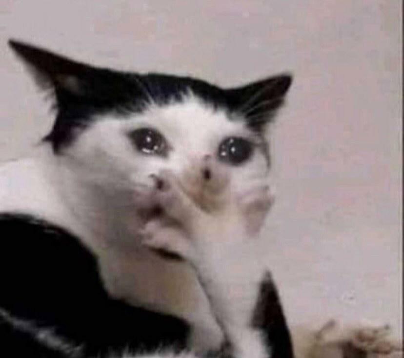 EVERGR0WING's tweet image. 