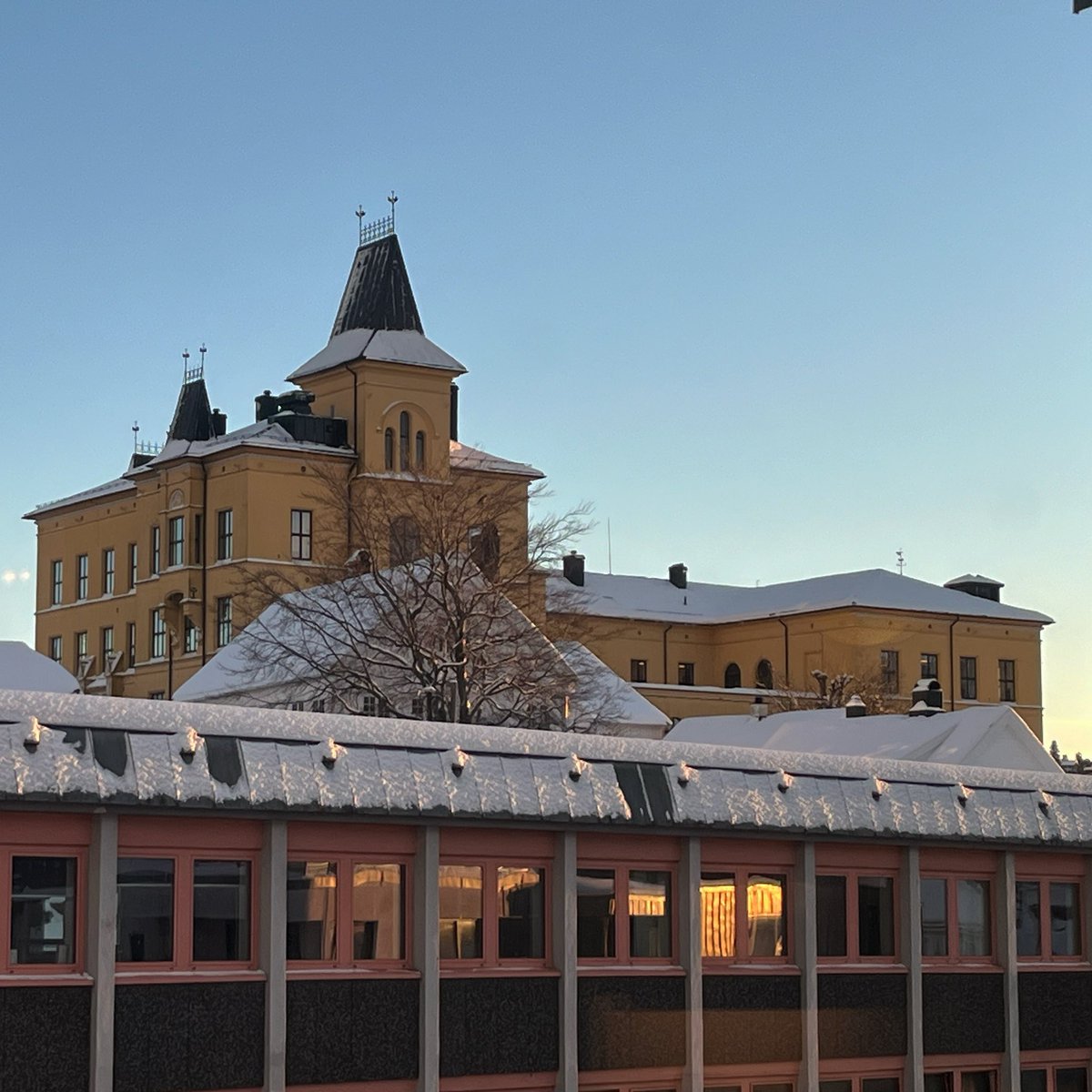 Eline Stien tweet media