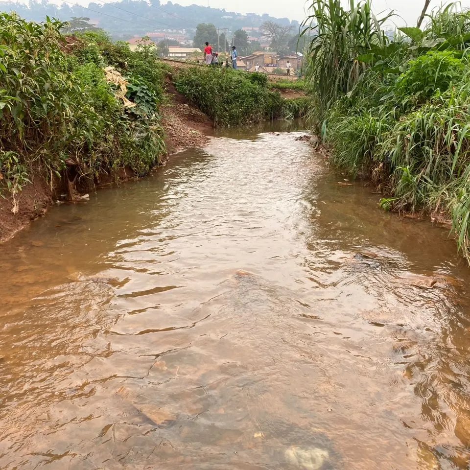 UgandaRangers's tweet photo. #UgandaJuniorRangers #OneEarthOneOcean youth rangers were not trained to educate adults in affluent societies on proper waste disposal, but drive by adult littering.
Driving them to become adult 'peer' educators in order to stop vice. https://t.co/GxBOO6UDOf