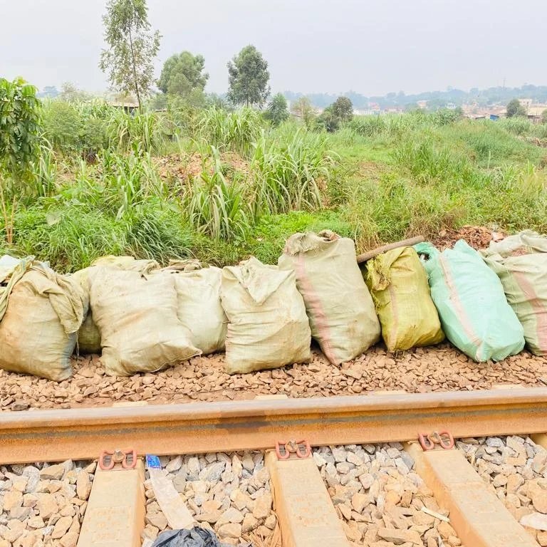 UgandaRangers's tweet photo. #UgandaJuniorRangers #OneEarthOneOcean youth rangers were not trained to educate adults in affluent societies on proper waste disposal, but drive by adult littering.
Driving them to become adult 'peer' educators in order to stop vice. https://t.co/GxBOO6UDOf