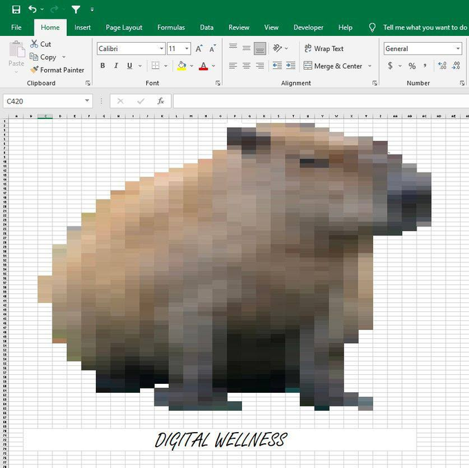 Capybara1995 | $CAPY tweet media