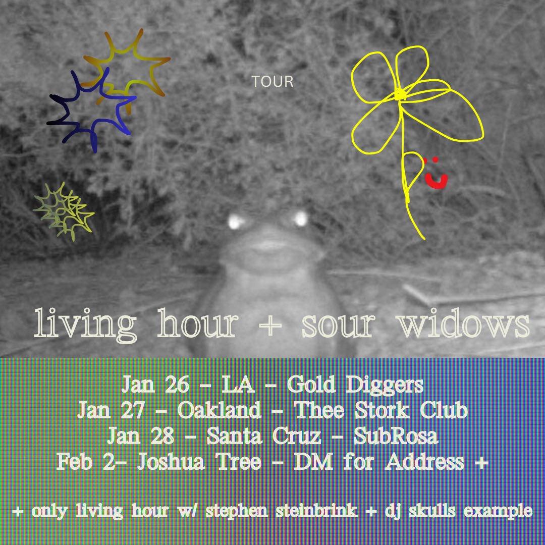 Our California shows with @sourwidows and @s_steinbrink start next week! So excited!!