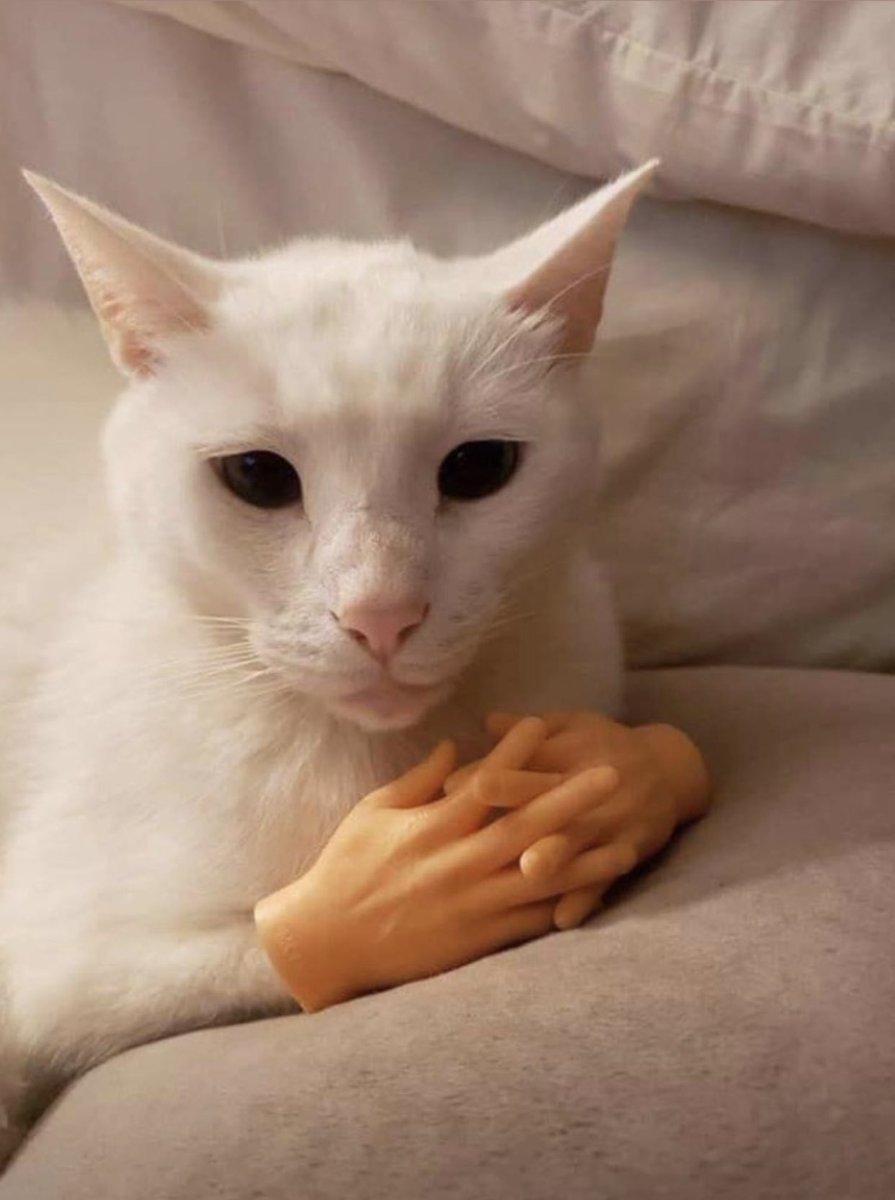 𝔄𝔩𝔣𝔯𝔢𝔡𝔬 𝔍𝔬𝔰𝔢 𝔐𝔞𝔯𝔱𝔦𝔫𝔢𝔷 𝔍ℜ tweet media