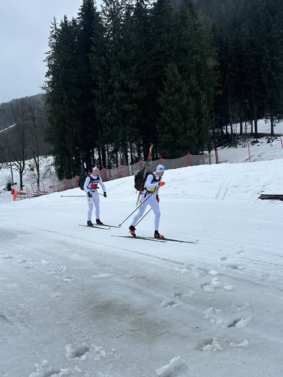 17 Regiment RLC tweet media