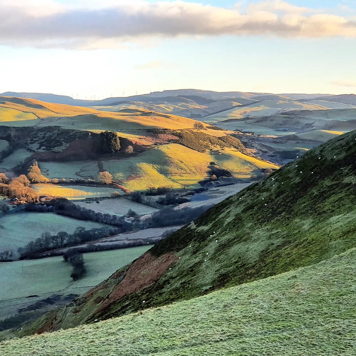 Morning light on a winters day in Mid Wales. Just stunning. #RealMidWales #VisitMidWales #Winter #frost #getoutdoors #DiscoverYourWales #CambrianMountains #VisitWales #Ceredigion visitmidwales.co.uk/destination/th… 📷 @theprospector73 @cambrian_safaris