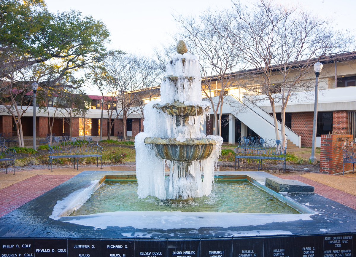 NSULA's tweet photo. Northwestern State University will return to regular operations on Thursday, Jan. 18 at all campuses, including Natchitoches, Shreveport, Alexandria, Leesville, Marksville, and Barksdale. 🤘

https://t.co/PnnHiXXR24 https://t.co/8dgeIK76JE