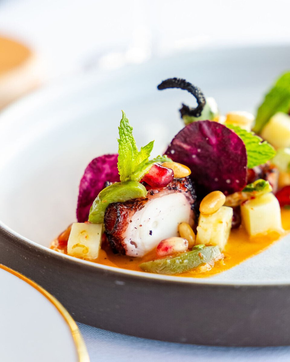 Crispy Spanish Octopus | Endive · Citrus-Honey Vinaigrette · Sunchoke · Calabrian Oregano · Pickled Onion · Annatto · Mint