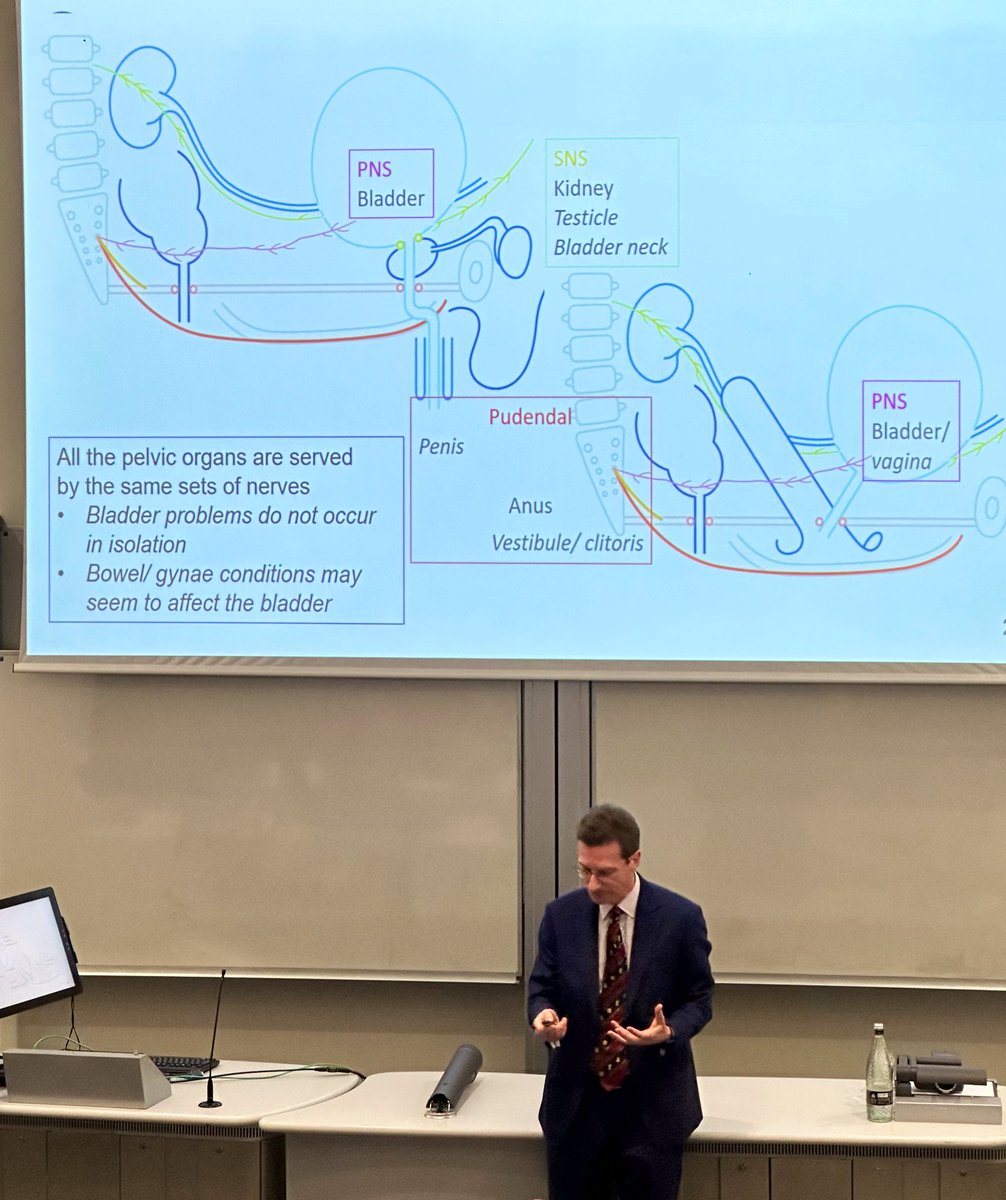 austen el-osta tweet media