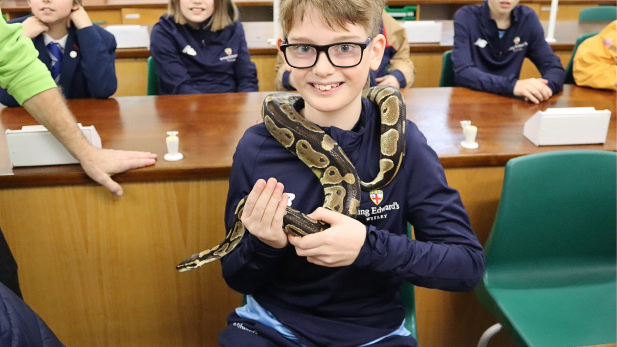 KESWitley's tweet photo. Today was an exhilarating day for our QMH pupils as they enjoyed a visit from 'Animazing'. They got up close and personal with an diverse mix of animals, from rabbits to reptiles. Pupils not only learned about these creatures but also had the opportunity to hold them. https://t.co/8OpGArDhq0