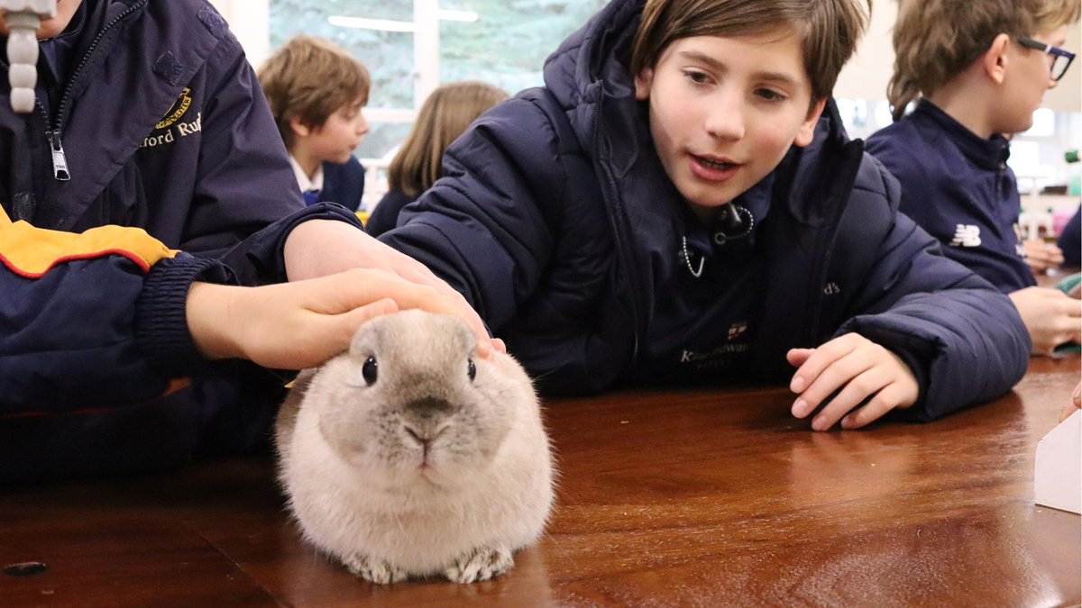 KESWitley's tweet photo. Today was an exhilarating day for our QMH pupils as they enjoyed a visit from 'Animazing'. They got up close and personal with an diverse mix of animals, from rabbits to reptiles. Pupils not only learned about these creatures but also had the opportunity to hold them. https://t.co/8OpGArDhq0