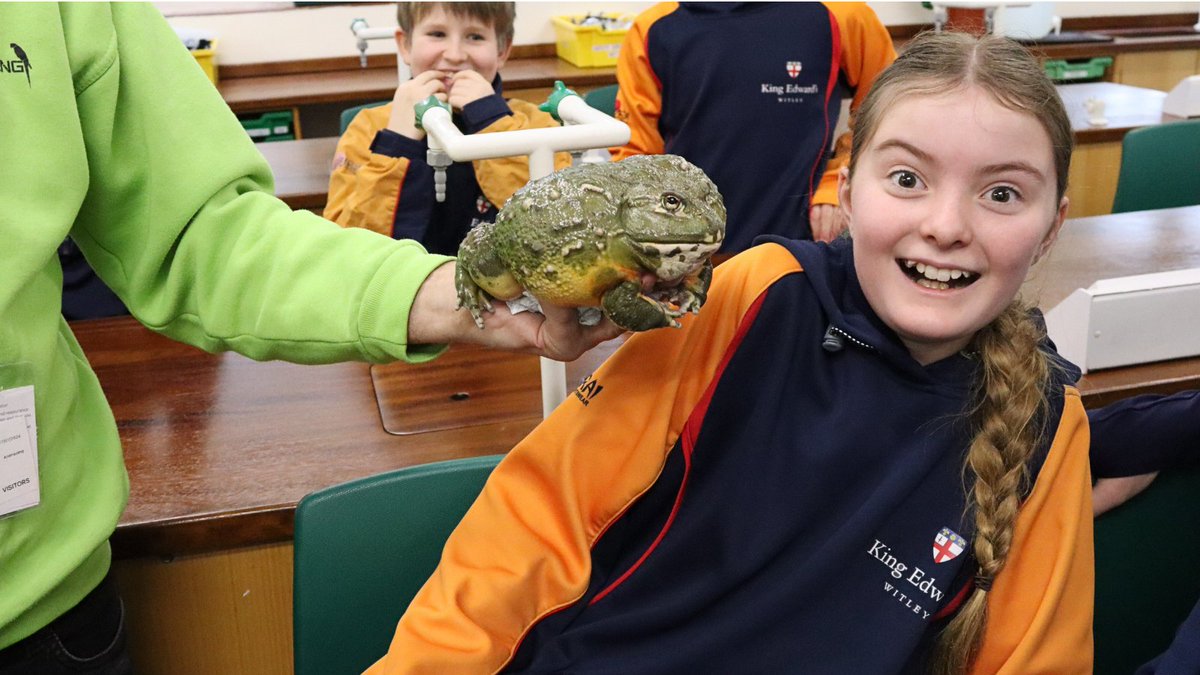 KESWitley's tweet photo. Today was an exhilarating day for our QMH pupils as they enjoyed a visit from 'Animazing'. They got up close and personal with an diverse mix of animals, from rabbits to reptiles. Pupils not only learned about these creatures but also had the opportunity to hold them. https://t.co/8OpGArDhq0