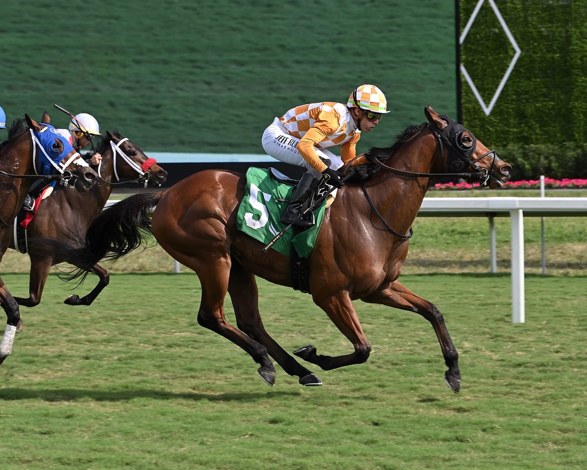 Royal Quality storms in the final furlong to capture race 2, <a href="/iradortiz/">Iradortiz</a> is the winning rider, <a href="/markecasse/">Mark Casse</a> trains for M Racing Group. #GulfstreamPark #ChampionshipMeet