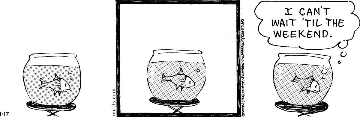 SpanishBizarro's tweet image. #mutts