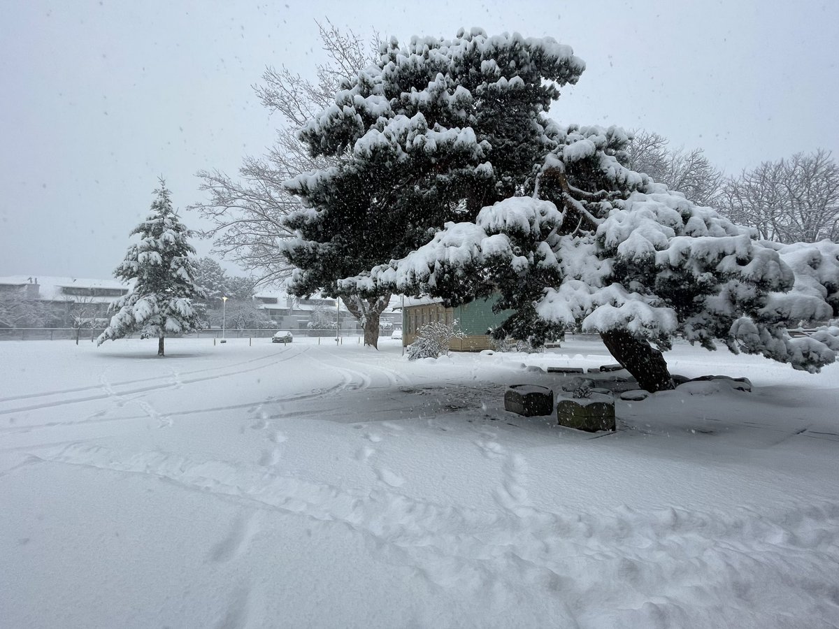 Snow day! Stay warm and safe <a href="/CurrieAllStars/">General Currie</a> families.