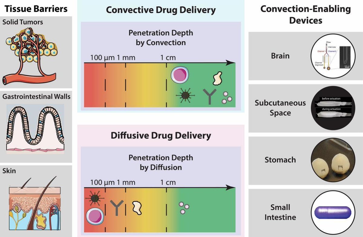 Excited to share our latest review article in the Journal of Controlled Release (authors.elsevier.com/a/1iRlucI2-5w61) detailing how robotic drug delivery devices physically interact with tissues to overcome transport limiting diffusion barriers.