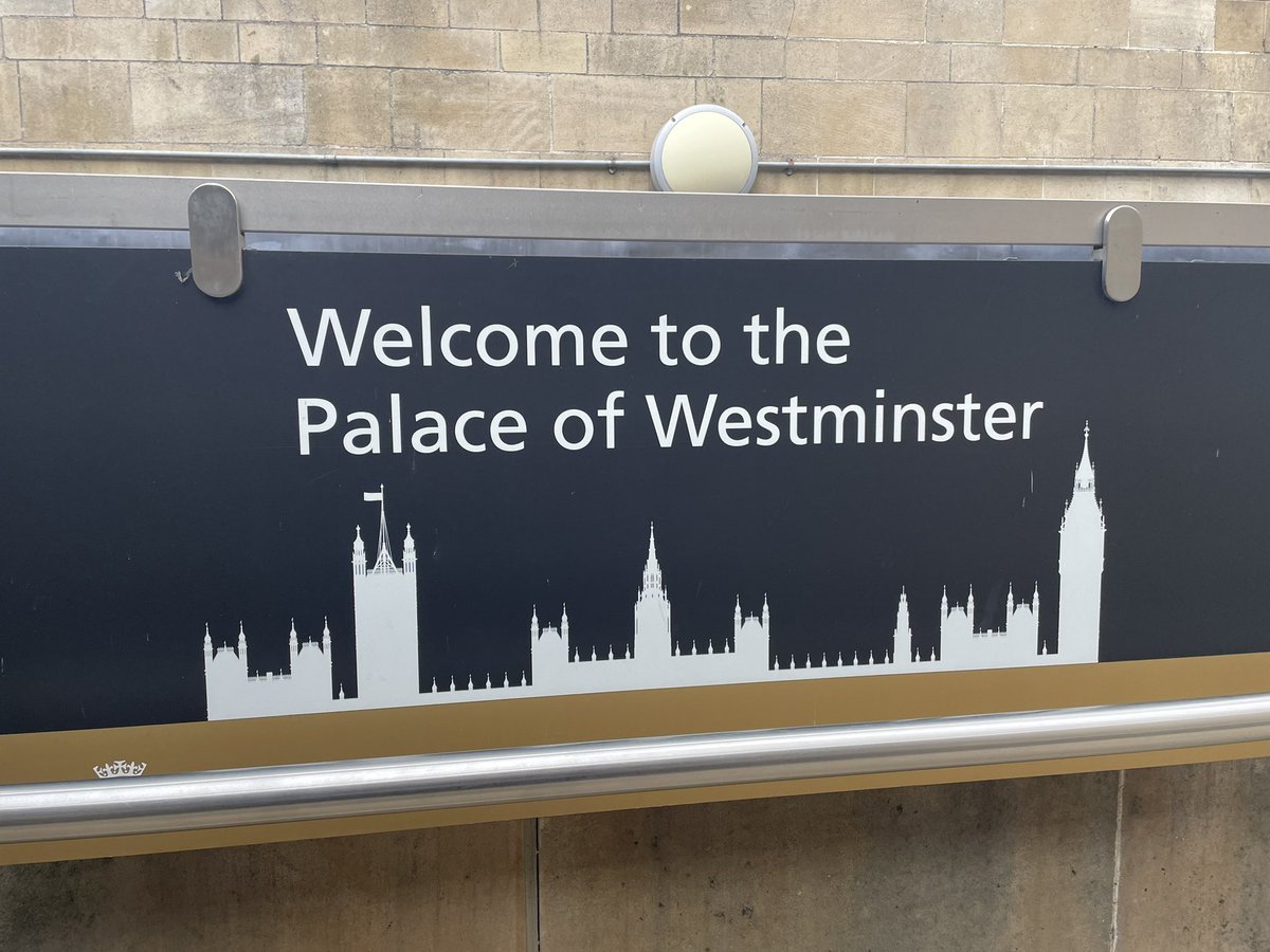 ngawai_n's tweet image. 🌟@HouseofCommons today. Shared my #Preconception journey - early GP advice was pivotal. Emphasised the need for inclusive #PreconceptionCare for both #women &amp;amp; #men and need to empower young people with knowledge &amp;amp; understanding. Thanks 🙏 @KeithMGodfrey &amp;amp; team for inviting me!