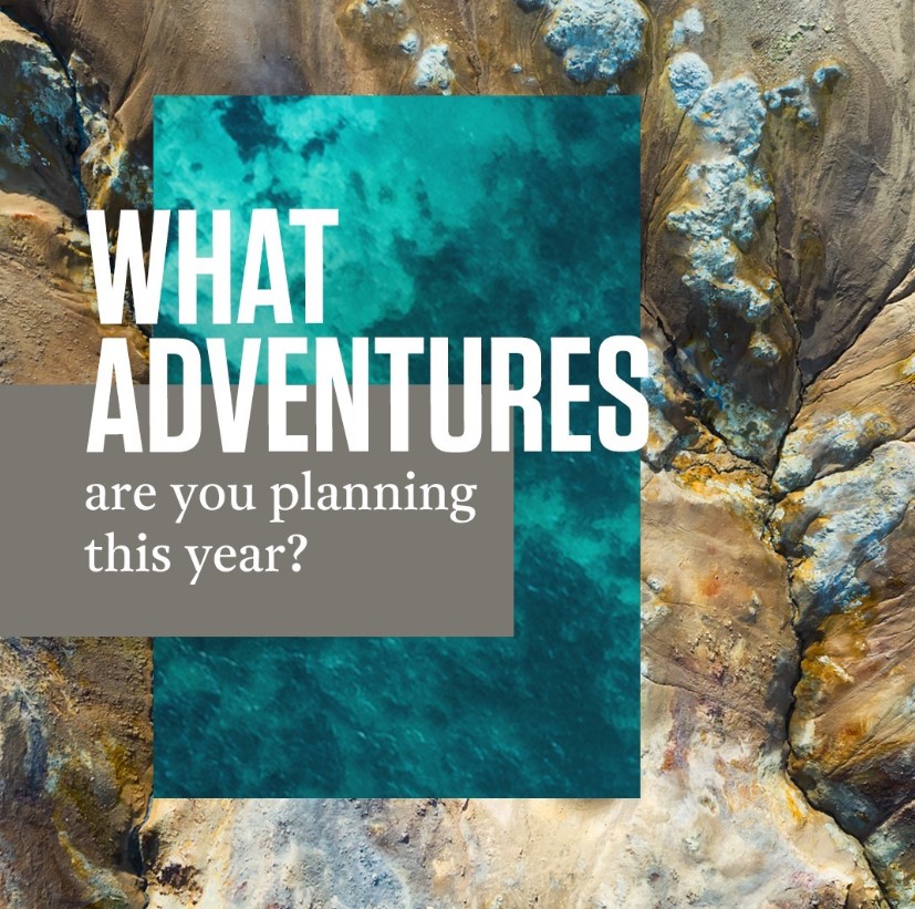 Windsor Yards tweet media