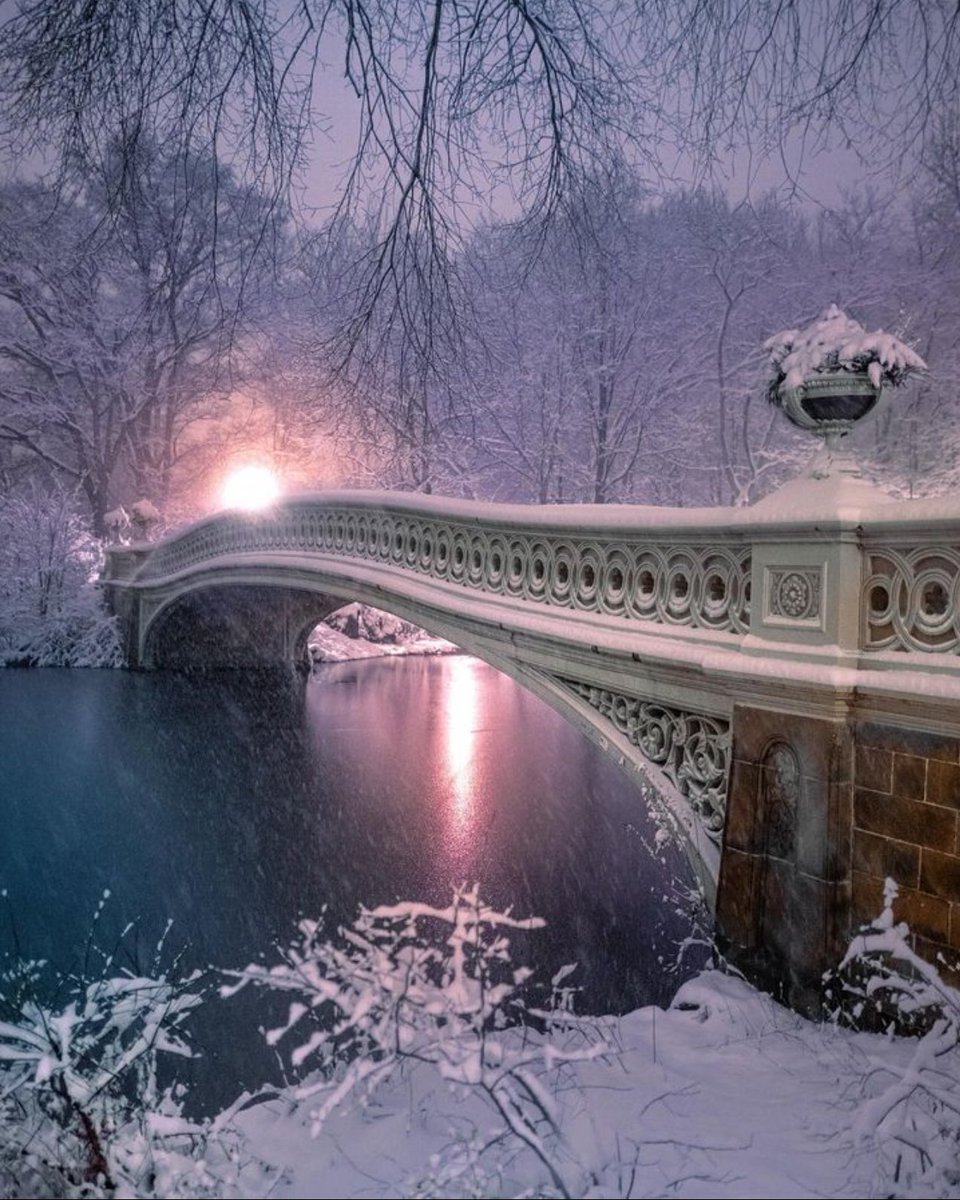 Central Park in the snow is extraordinarily beautiful.
