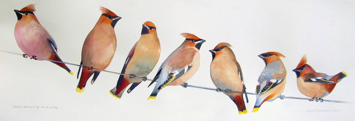It's been a waxwings winter! 😍 Here's 'Seven #waxwings on a wire', a #painting I did 11 years ago!

@bbcspringwatch #winterwatch #winterwatch2024 #birding #birds #oxfordshireartweeks #wintermigrants #migrantswelcome
