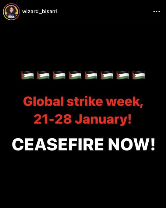 JoolyMish's tweet photo. @ItsMaybeMadi Bisan, on Instagram, said for the global strike to be a whole week and not just a day! ଘ(✿˵•́ ᴗ •̀˵) https://t.co/G5CjZ0622t