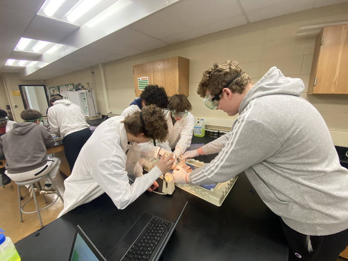 Unbeatable skill &amp; concentration! #bcanatphys <a href="/BCHS_SDE/">Brookfield Central HS 🇺🇸</a> #fetalpigdissection
