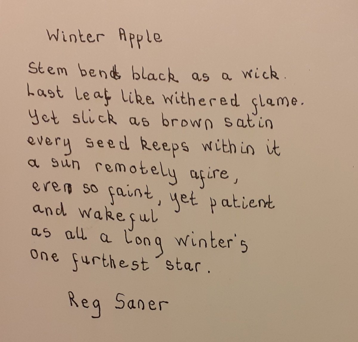 267. 'Winter Apple' by Reg Saner.