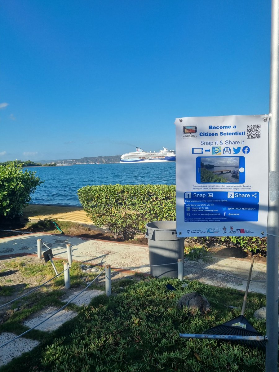 #CitizenScience monitoring point for #sargassum is ready and we had the #PortRoyal #school visiting and learning today! #PublicEngagement #Jamaica @SARTRAC1 @LIPC_UNAM @UWImona @UoSGeogEnv