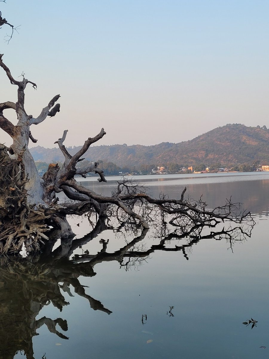 imvatan3's tweet photo. “Travel –  makes you, a storyteller"-🥰
Mansar Lake
@incredibleindia
@JandKTourism
#JammuAndKashmir
#mansar https://t.co/Nm1HxUL9TL