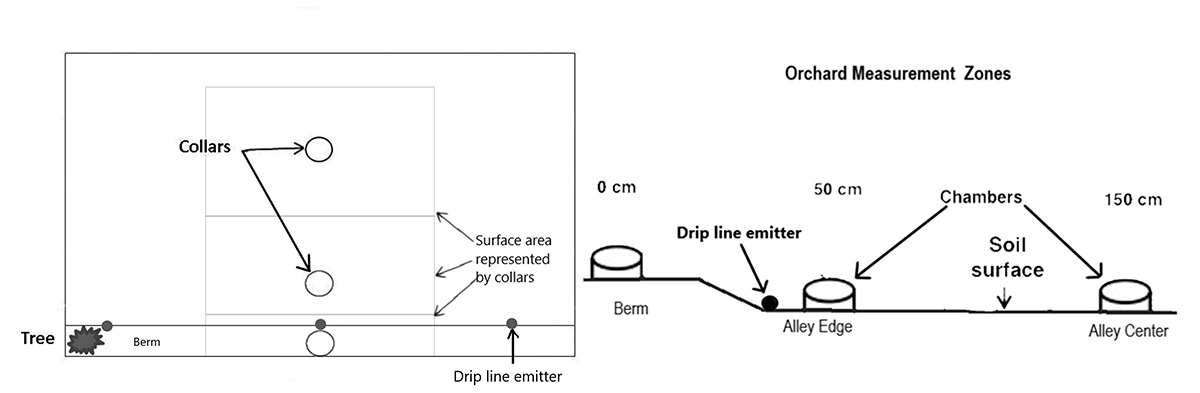 sssajournal's tweet photo. New in SSSAJ! Long-term compost use and high frequency low concentration fertigation reduce N2O emissions from a California almond orchard https://t.co/FIMiIYrL42
Nichols &amp; colleagues @ucdavisCAES @UCDVEN @UCDavisPlants @USDA_ARS https://t.co/lu3L7sLuVU